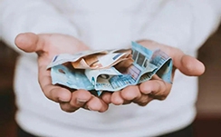 我的金轮是什么梗
